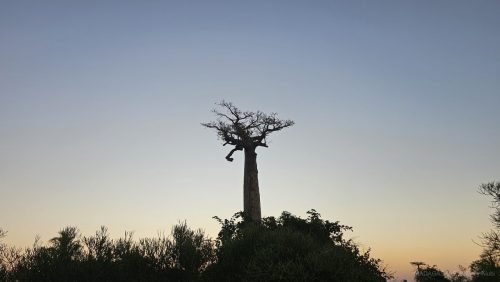 20260504 173830 wm